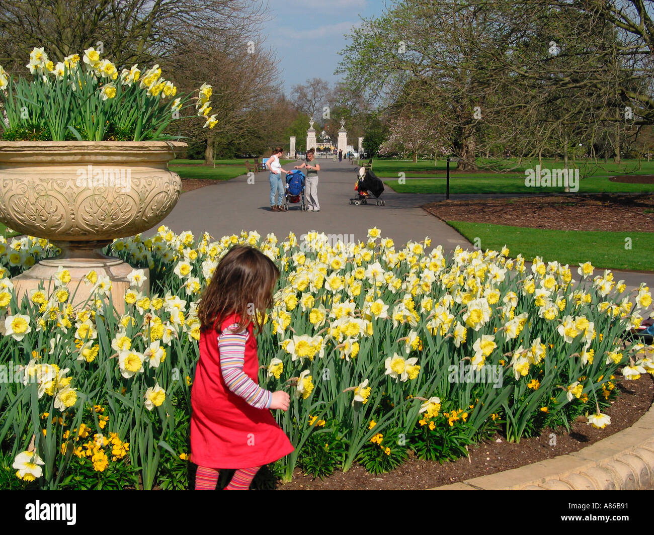 Spring Daffodil y los turistas que visitan Kew Gardens, Royal Botanic Gardens, Richmond, Londres, Inglaterra, Reino Unido Foto de stock