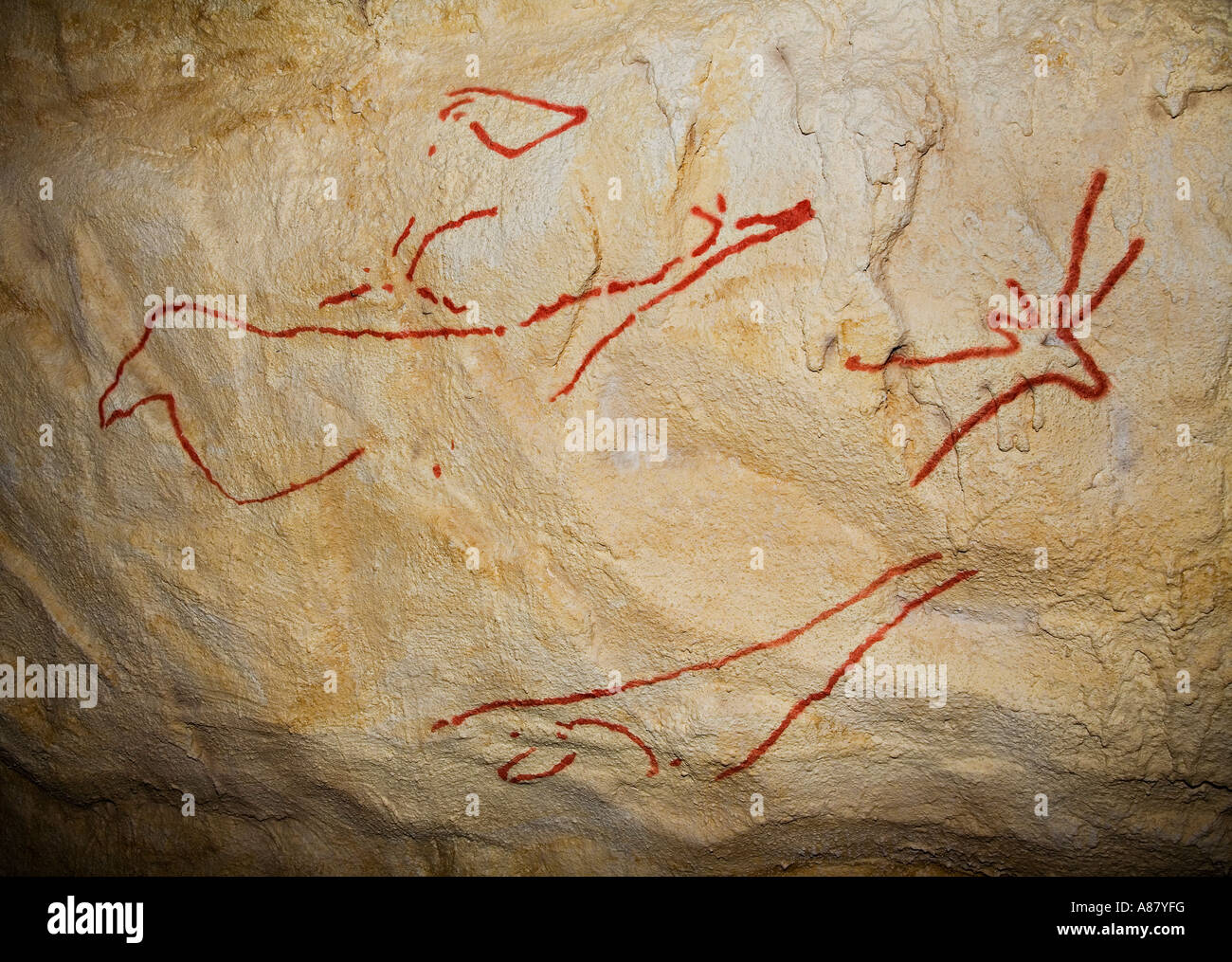 idioma sitio gloria Réplicas de pinturas rupestres de la Cueva de Nerja Andalucia España  Fotografía de stock - Alamy