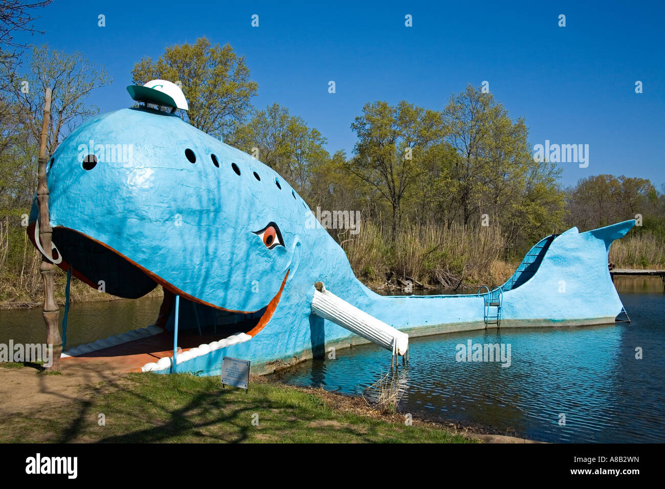 Catosa de ballena azul fotografías e imágenes de alta resolución - Alamy