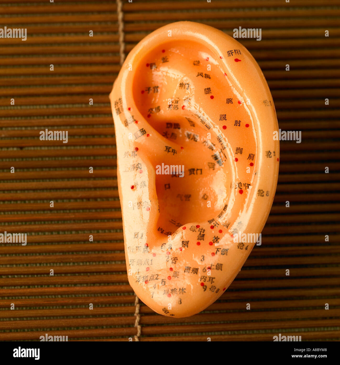 La medicina china la medicina Oriental Acupuntura modelo anatómico oído Fotografía de stock Alamy