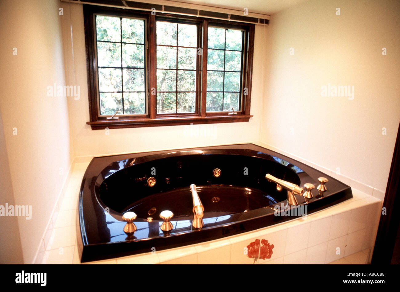 Custom House INTERIOR Pittsburgh PA EE.UU. Bañera de hidromasaje americana  en interiores de lujo 'Modelo House' baño, ventana interior Casa Fotografía  de stock - Alamy