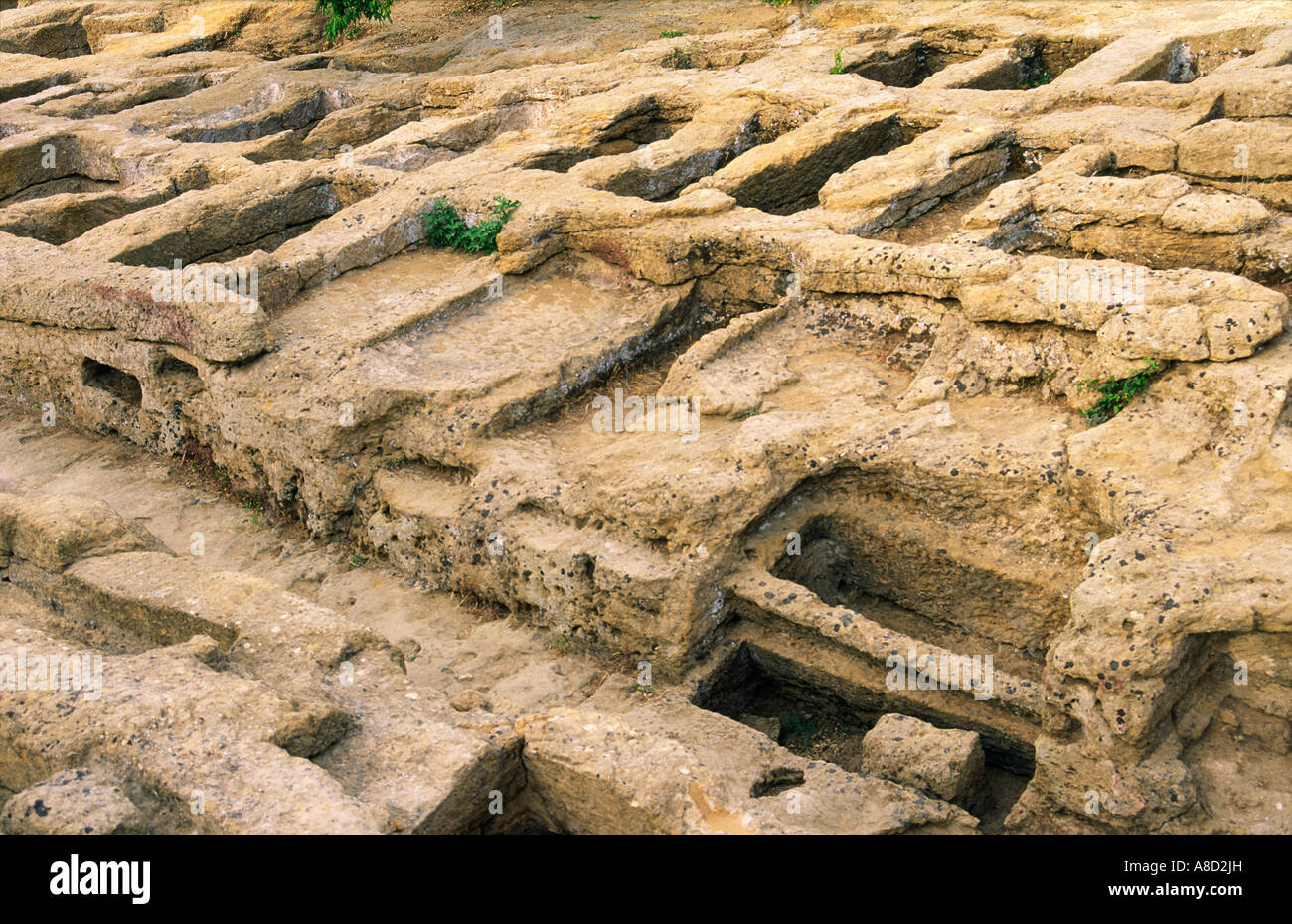 Valle de los templos en el griego antiguo sitio de Agrigento. Necrópolis romana grave entierros. Sicilia, Italia Foto de stock