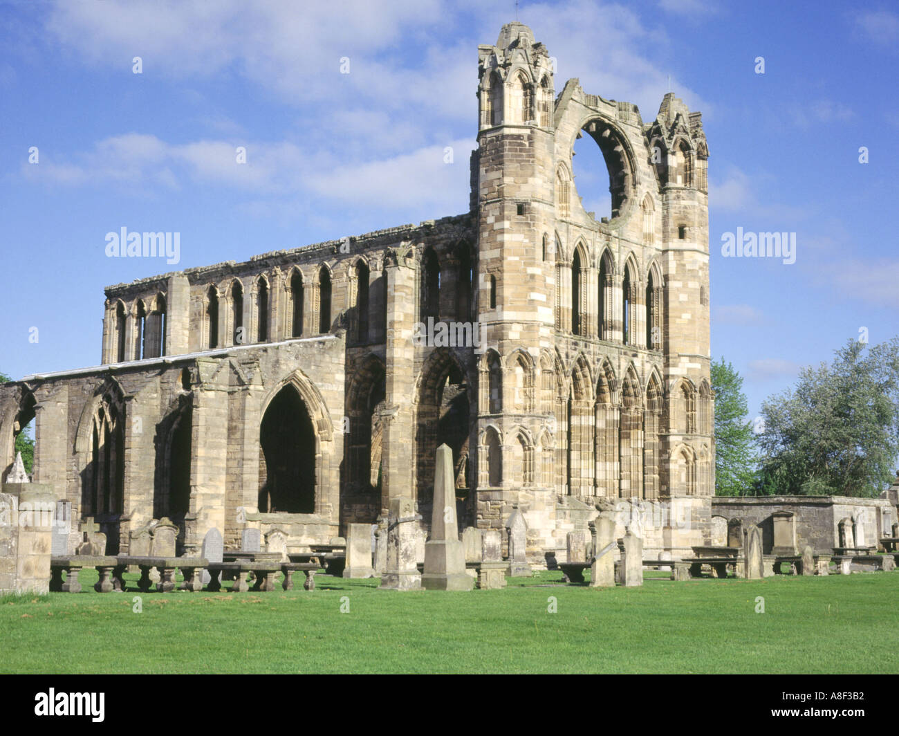 DH Elgin catedral ELGIN MORAY Muralla del este ruinas catedrales escocesas escocia Foto de stock
