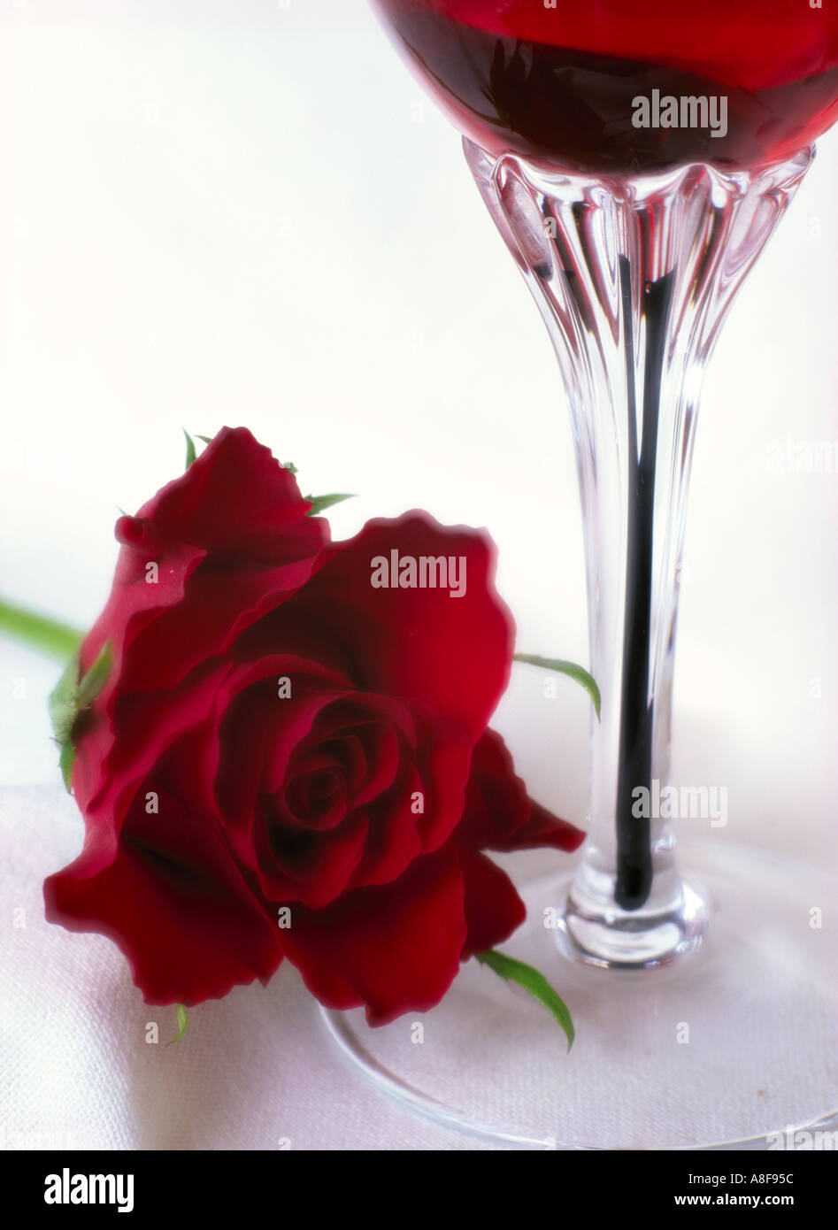 Flor Rosa roja y vino tinto en vaso de vino sobre un fondo blanco  Fotografía de stock - Alamy