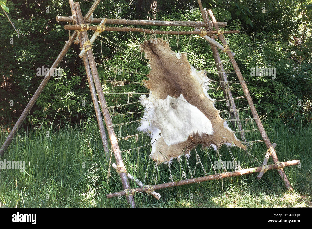 Cuero curtido nativo fotografías e imágenes de alta resolución Alamy