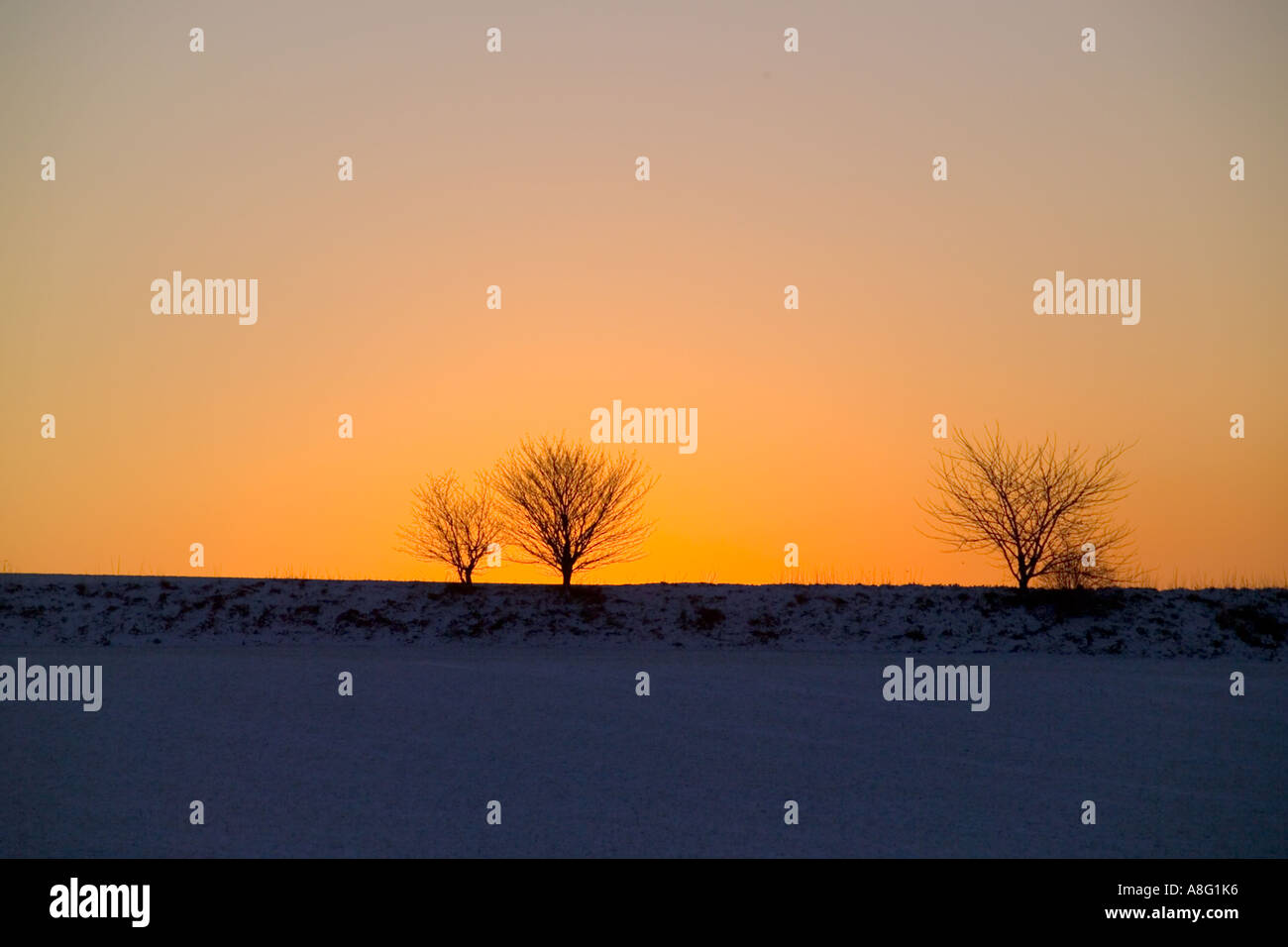 Los árboles y la nieve en un horizonte cerca de Rochester Kent, al atardecer Foto de stock