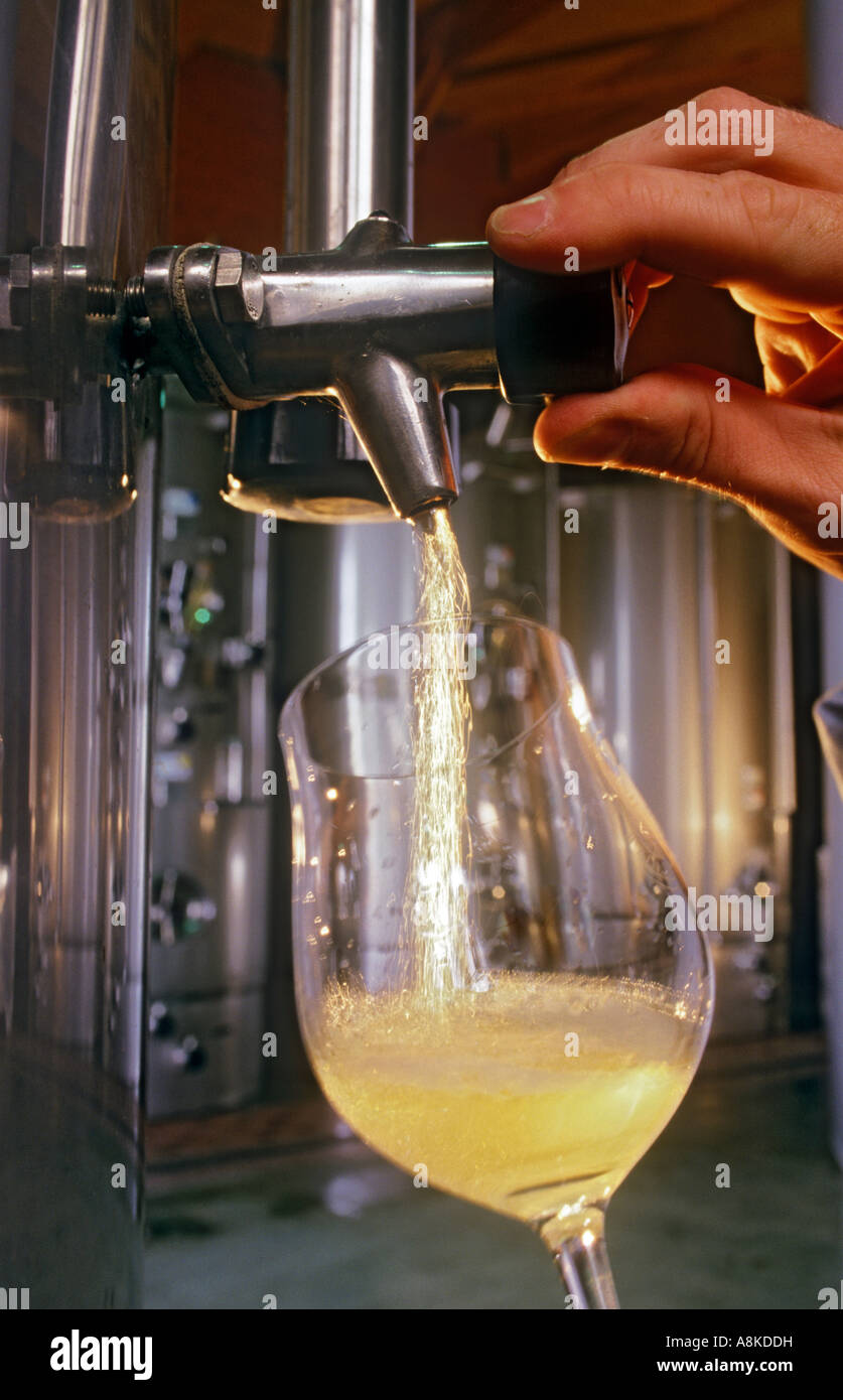 Degustación de lotes de bodega de Borgoña con una muestra de vino blanco de un tanque de maduración de acero inoxidable en la moderna bodega francesa Foto de stock