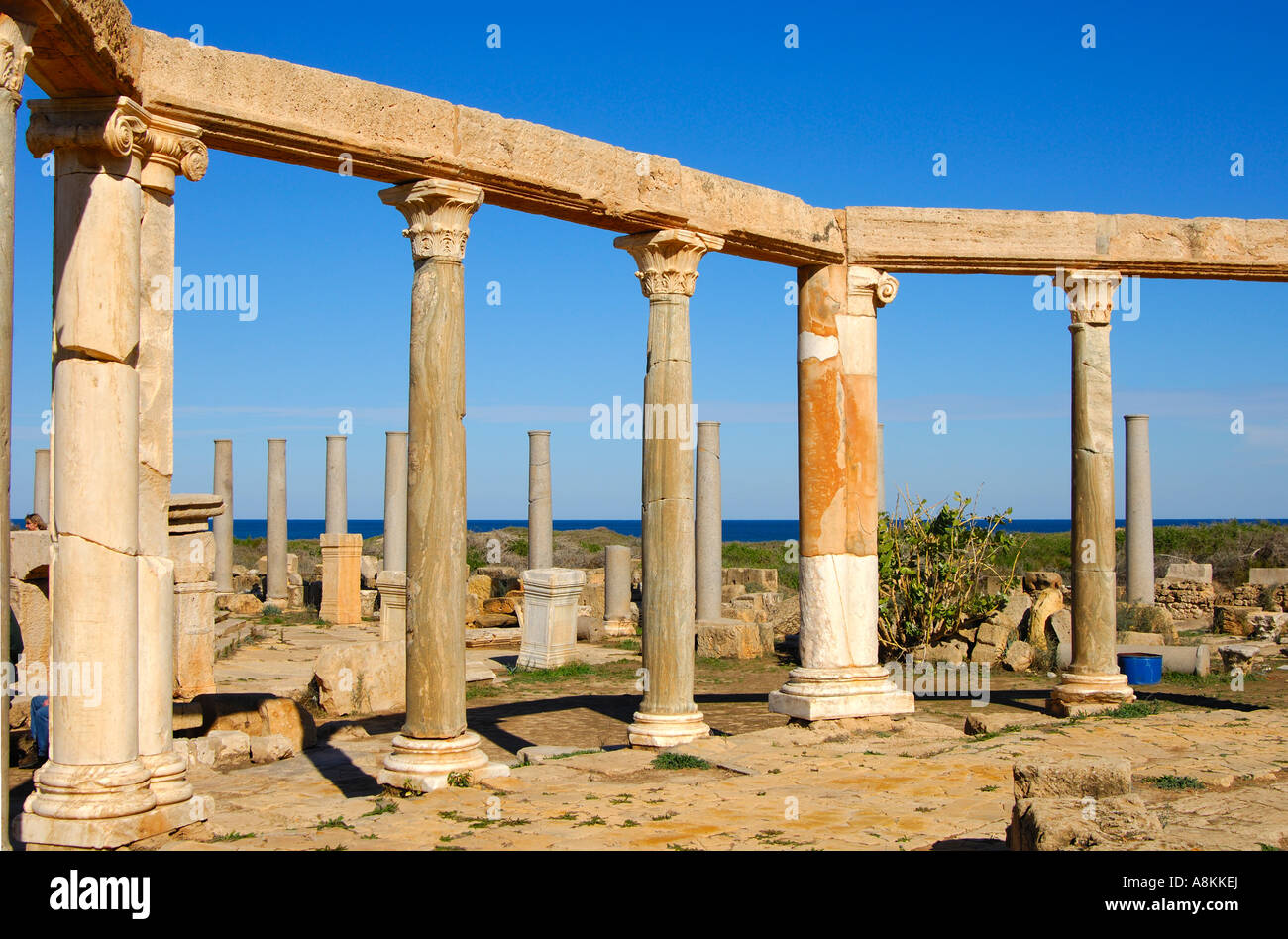 Antiguo mercado, las ruinas romanas de Leptis Magna, Libia Foto de stock