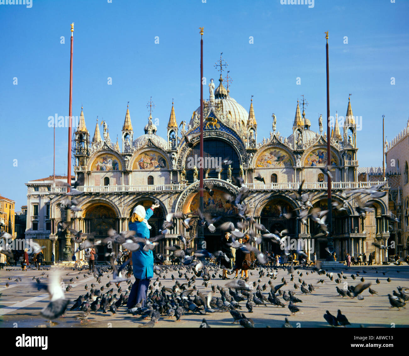 Mujer turista dándole de comer a las palomas en la Plaza de San Marcos Venecia Italia Foto de stock