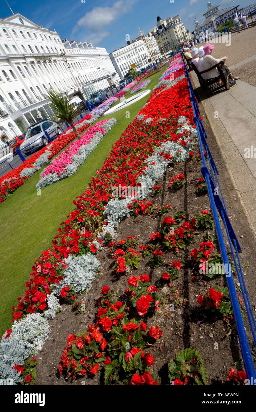 Promenade en Eastbourne con parterres en primer plano y hoteles en segundo plano. Foto de stock