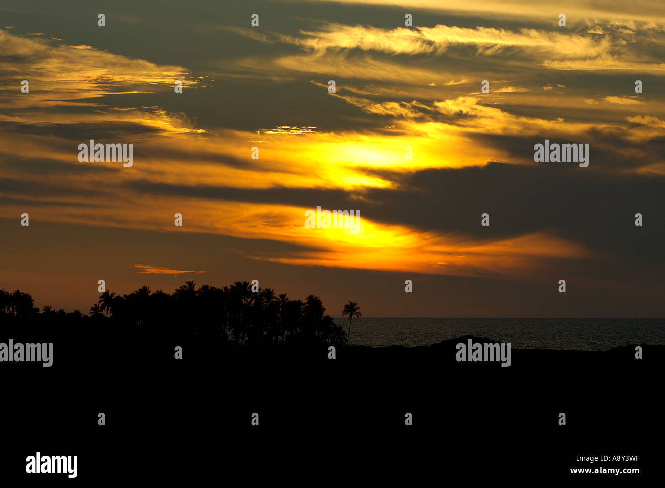 Sunset Sur costa Kohala de la Isla Grande de Hawai Foto de stock