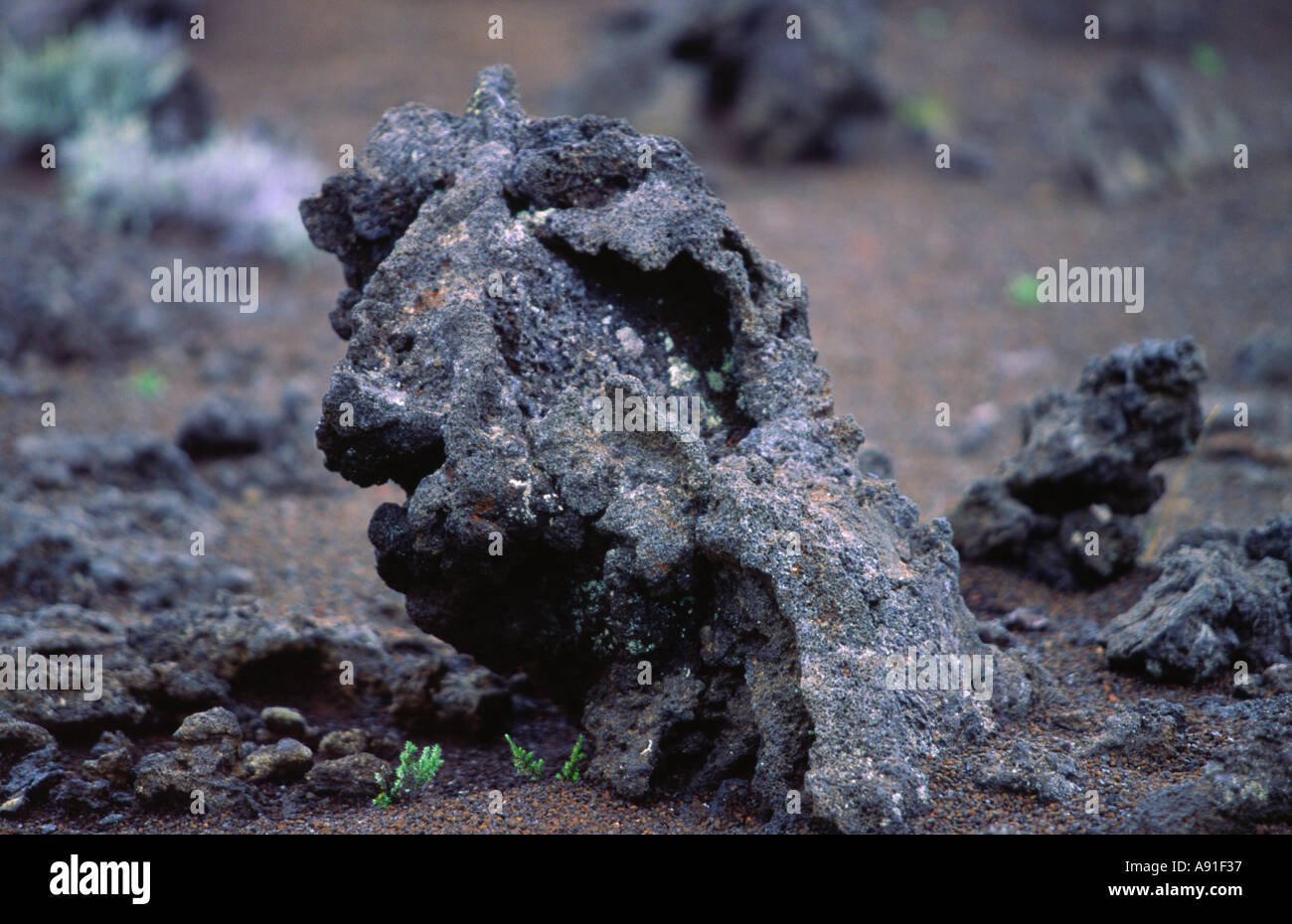 Piton de la Fournaise Isla de la Reunion océano índico francia Foto de stock