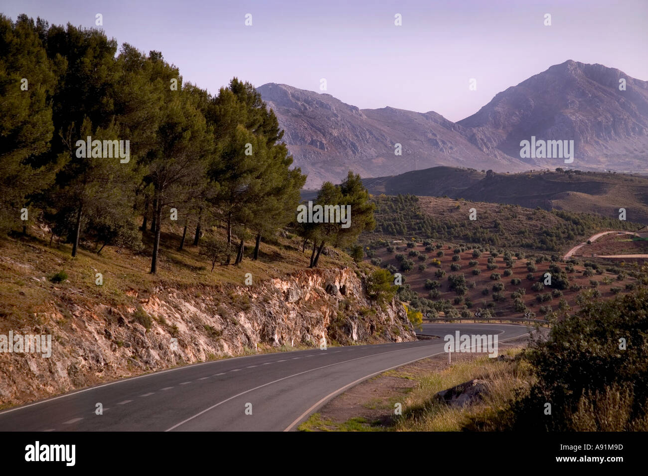 Curvatura suave camino aparecieron en Andalucia Foto de stock