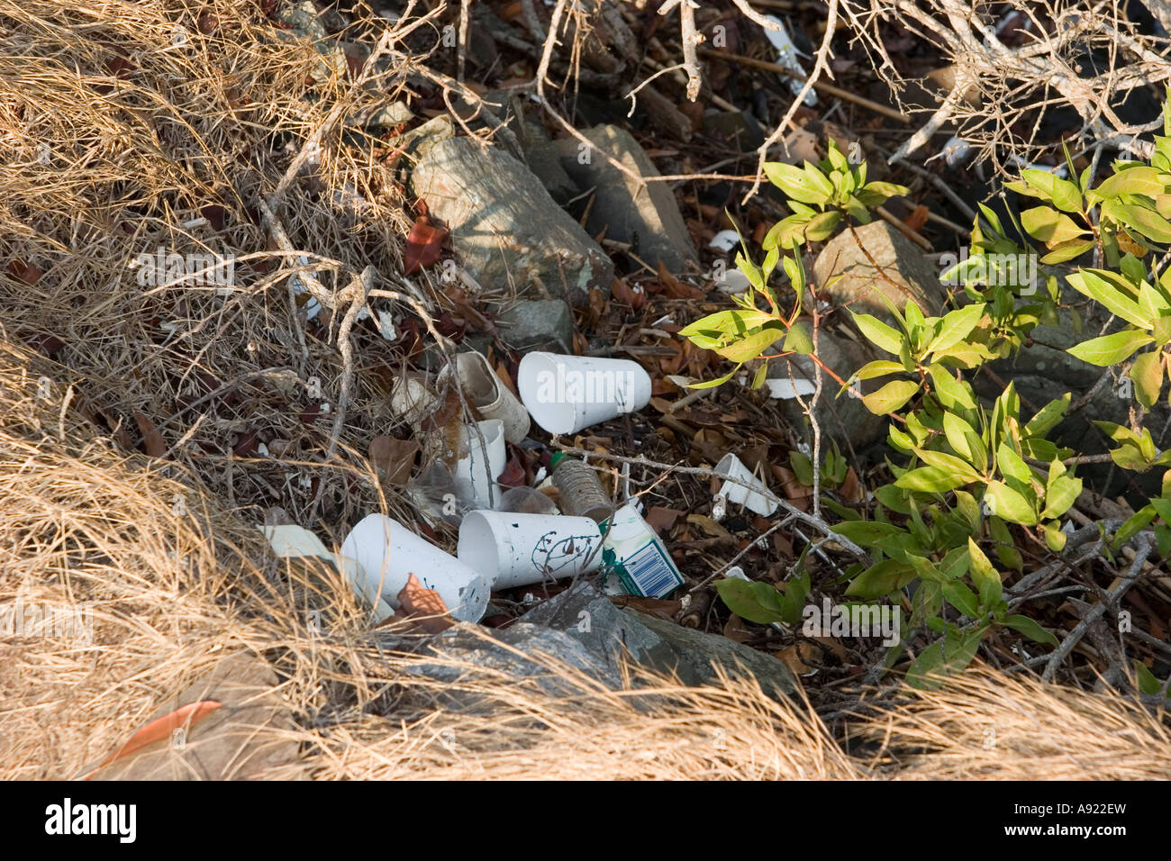 Contaminación del agua Foto de stock