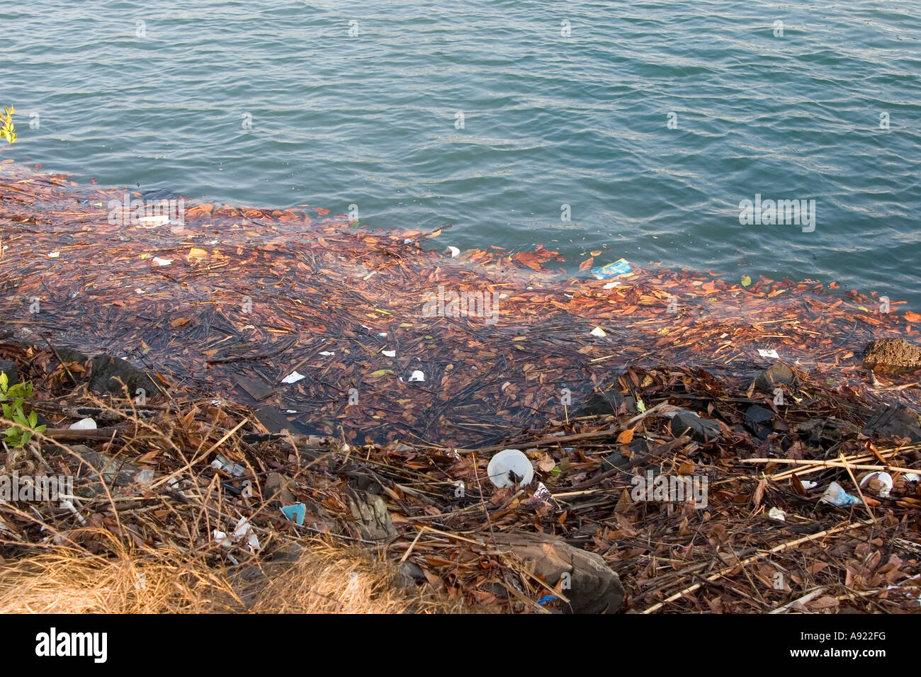 La contaminación del agua la orilla Foto de stock