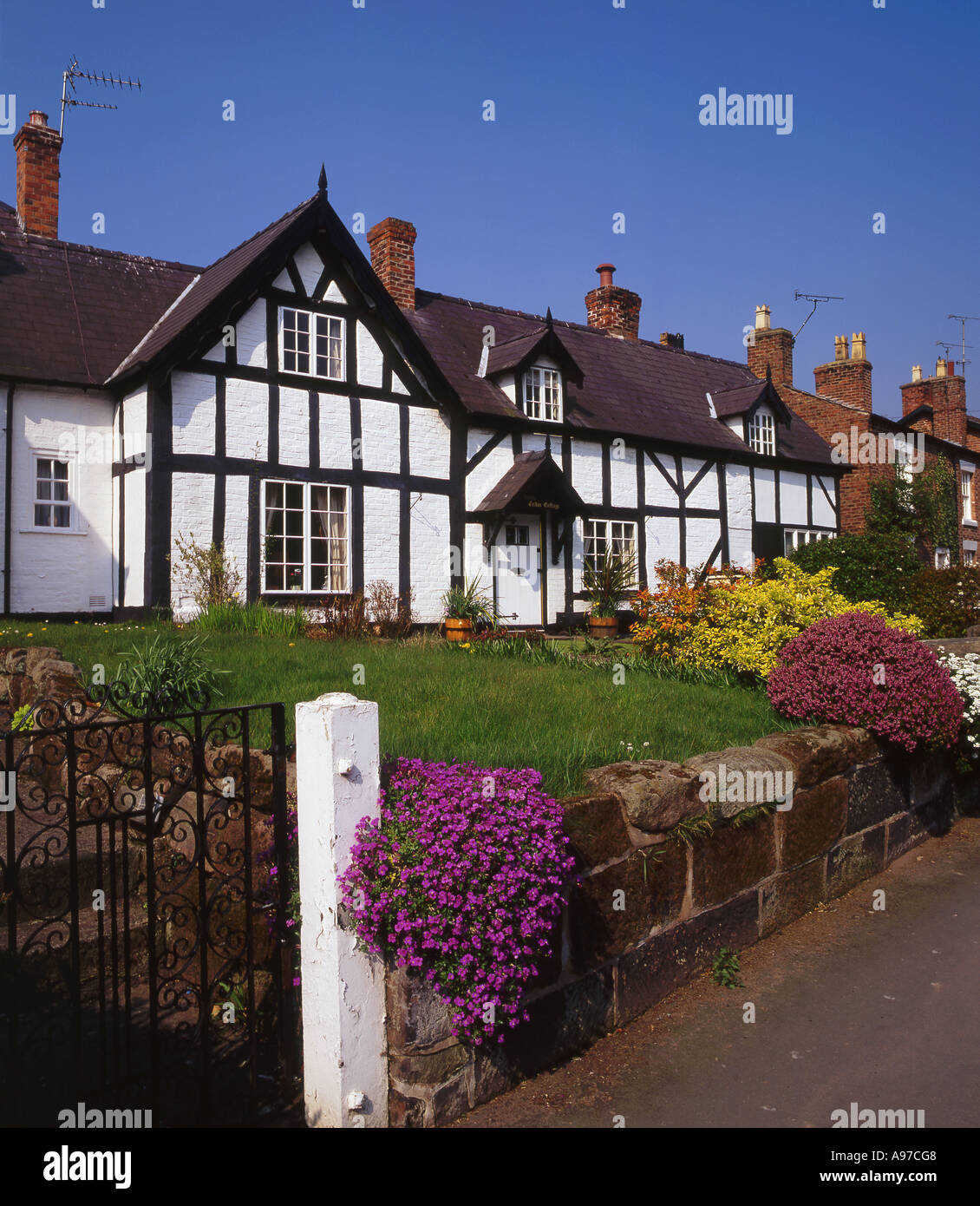 Tudor Cottage en primavera, la aldea de Tattenall Central, Cheshire, Inglaterra, Reino Unido. Foto de stock