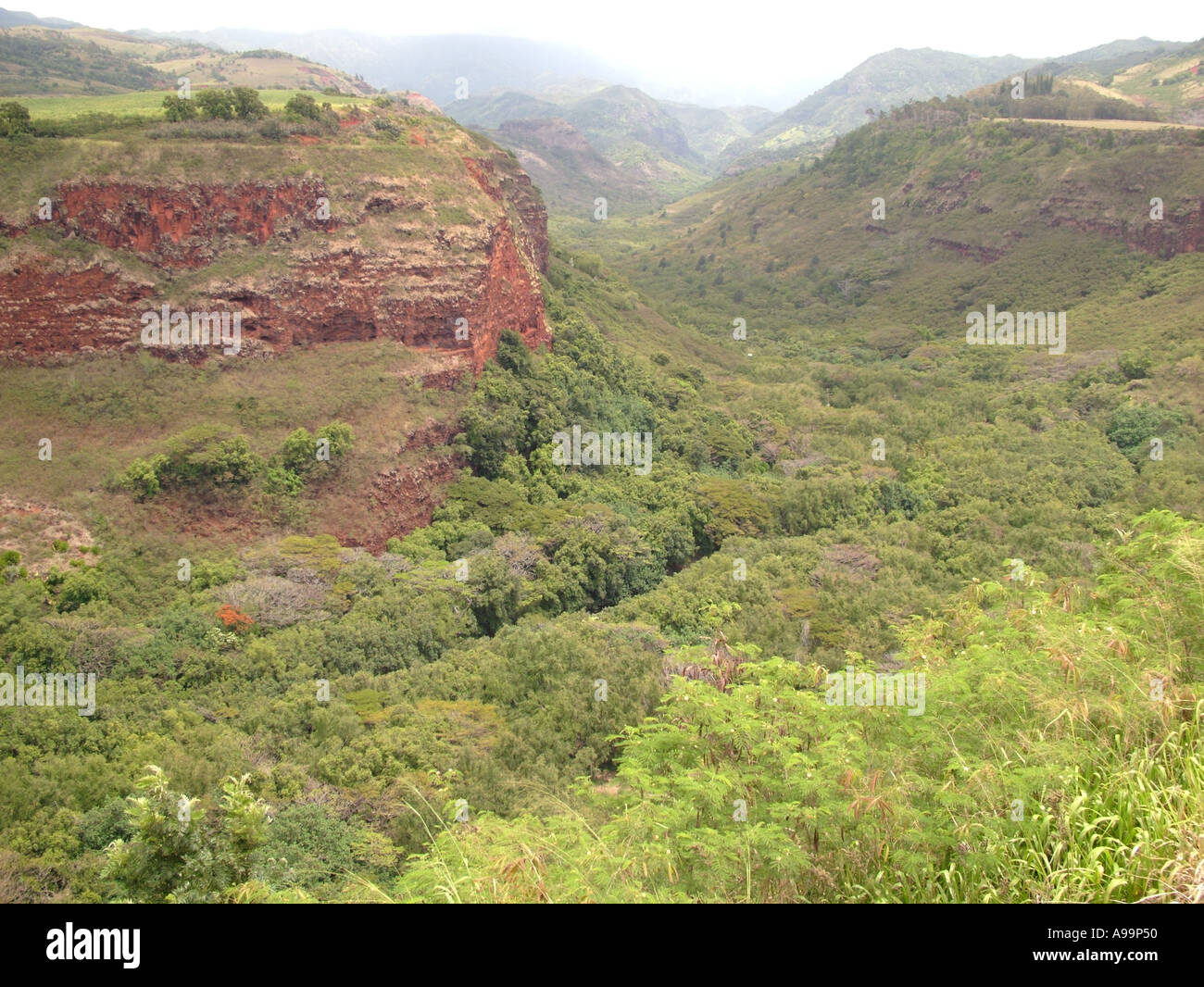 AJD41105, Hanapepe, Kauai, HI, Hawai Foto de stock