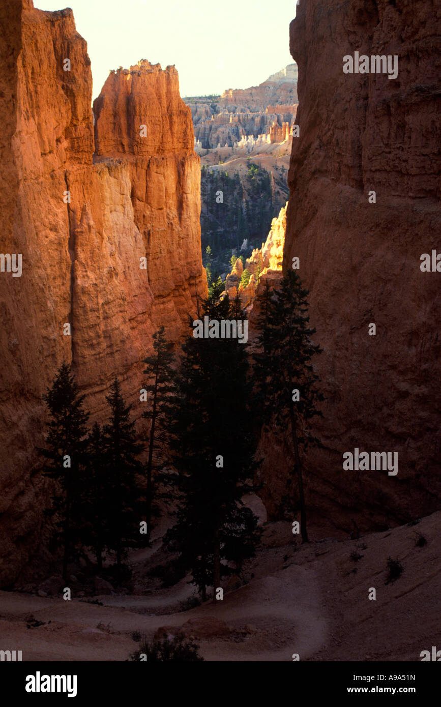 Punto SUNRISE Bryce Canyon Utah, EE.UU. Foto de stock