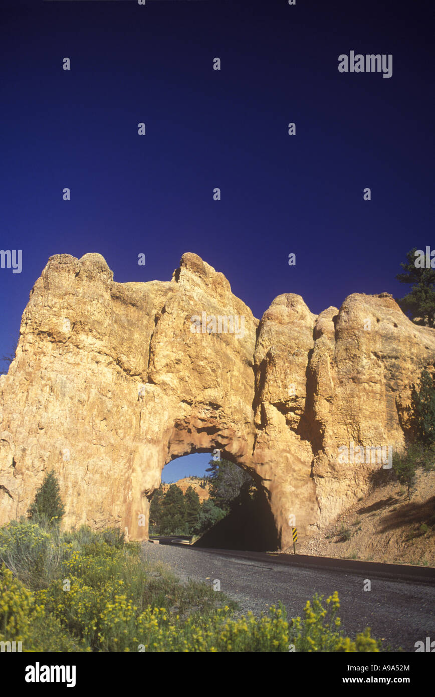 Camino de roca roja ARCHWAY Dixie Highway Cañón Bryce Canyon National Park Utah, EE.UU. Foto de stock