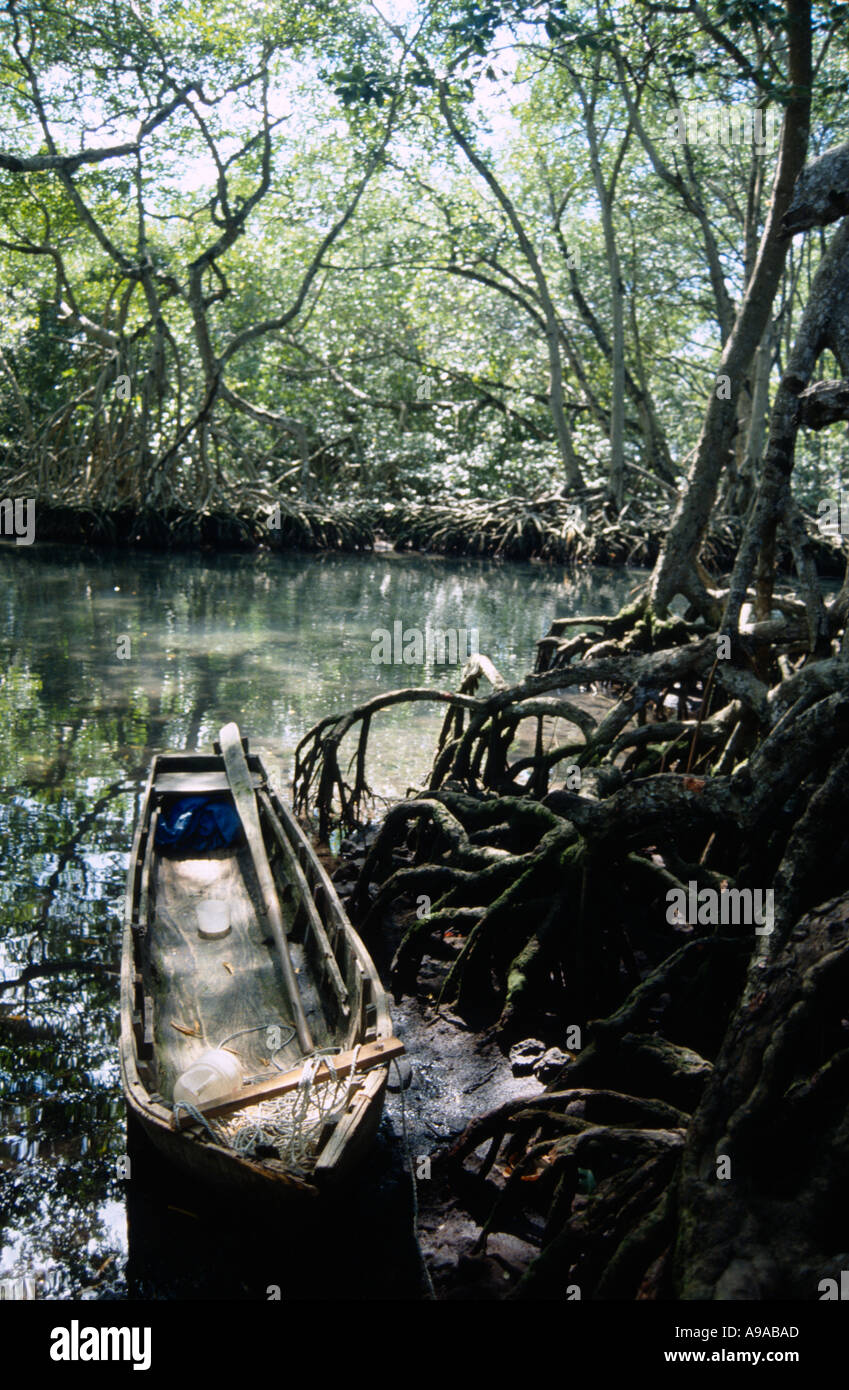 Excavado tradicional canoa en la Laguna Gri-Gri norte de República Dominicana Caribe Hispaniola Foto de stock