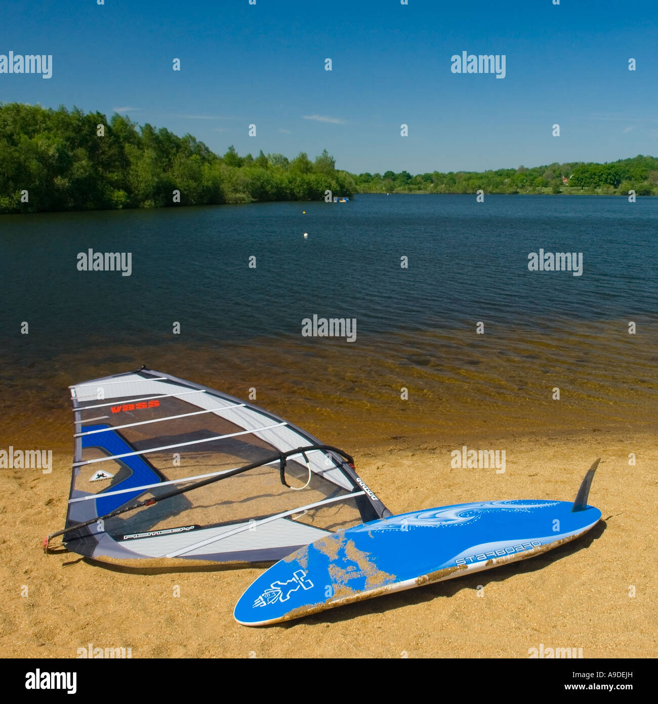 Tabla de windsurf tumbado en la playa del lago en herradura Trilakes Country Park Sandhurst Berkshire Inglaterra Gran Bretaña UK Foto de stock