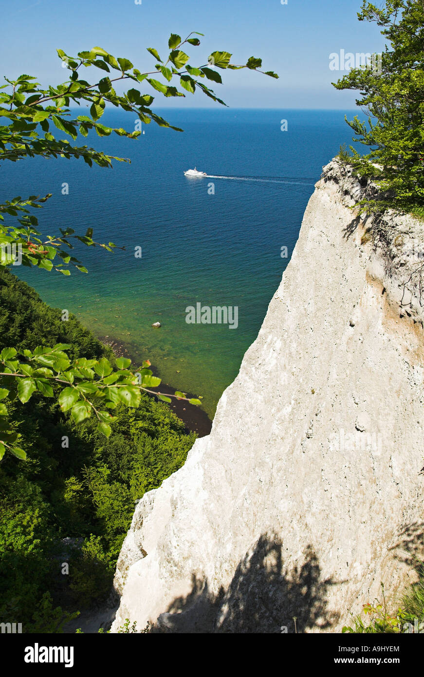 Chalk acantilado en Koenigsstuhl Jasmund, Parque Nacional, la isla de Ruegen, Mecklemburgo Pomerania Occidental, Alemania, Europa Foto de stock