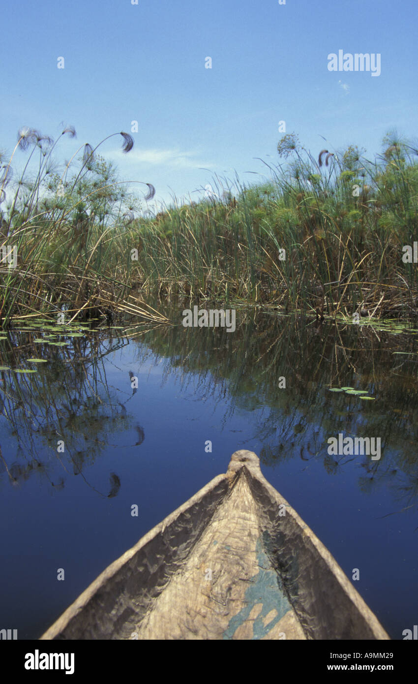 África Botswana en canoa a través de canales de agua en el Delta del Okavango Botswana Foto de stock