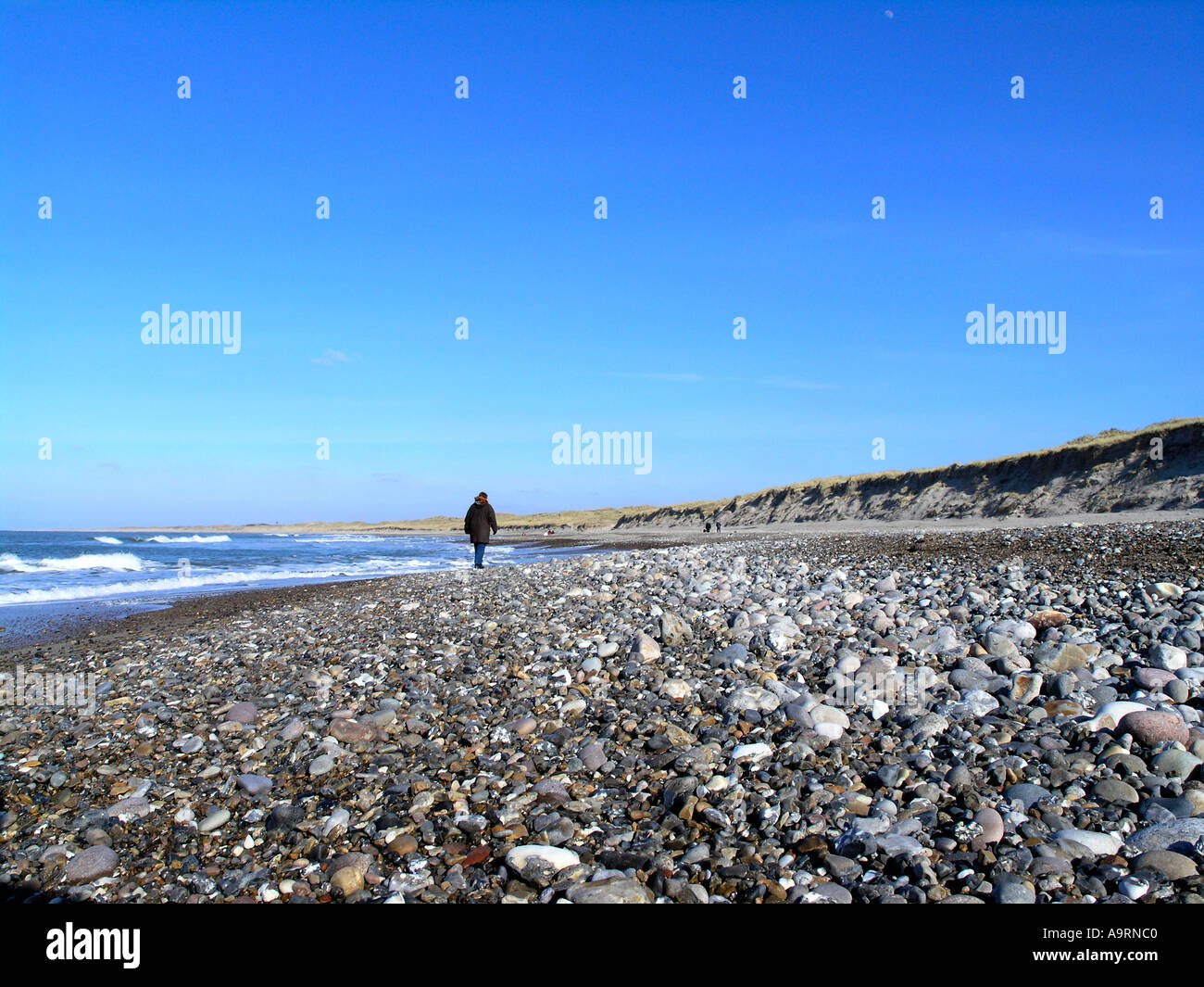 Persona solitaria caminando por el litoral, hasta el mar del Norte en Vorupore parte oeste de Jutlandia, Dinamarca Foto de stock