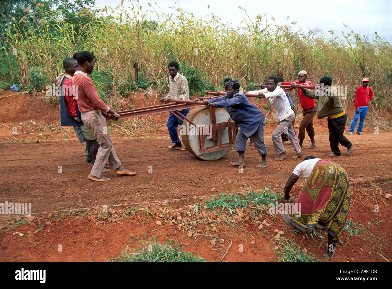 Hombres y mujeres de su comunidad local rodando manualmente la superficie de un nuevo camino, dañado por la guerra civil. Zambezia, Mozambique Foto de stock