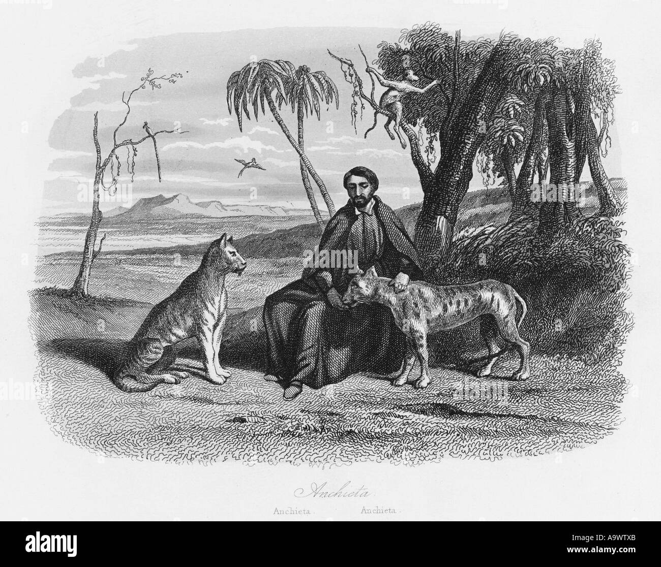 Jose de anchieta fotografías e imágenes de alta resolución Alamy