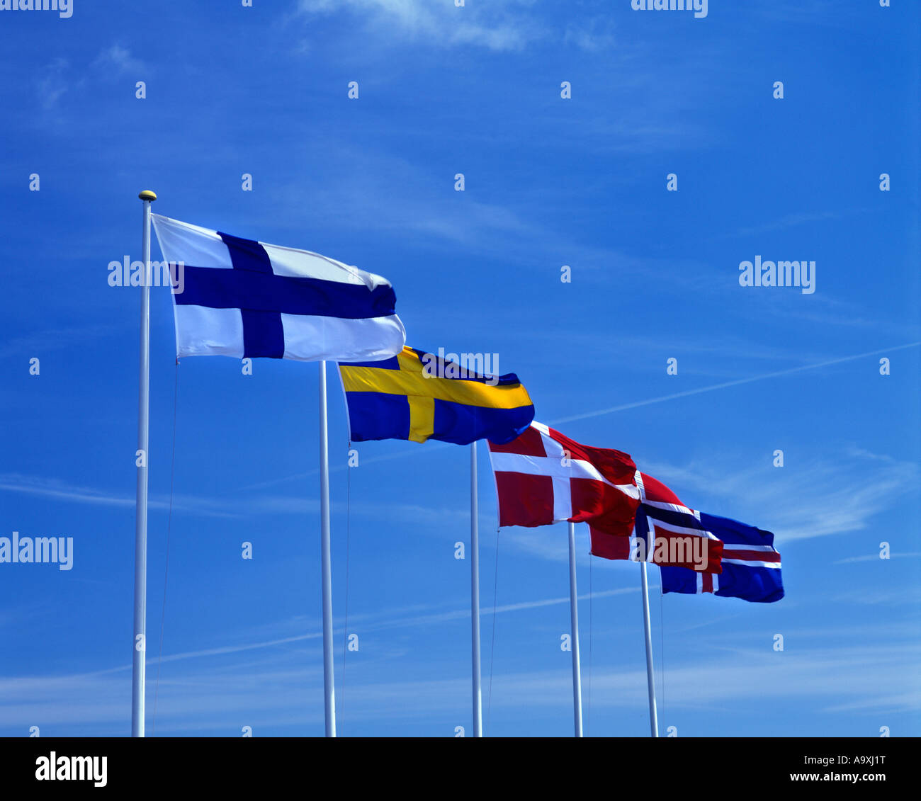 Fila de Scandinavian banderas flameando en la bandera polacos Finlandia Suecia Dinamarca Noruega Islandia Foto de stock