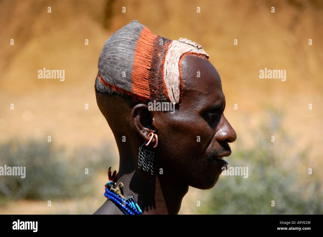La cabeza del hombre en el perfil lateral con secador de arcilla y colores cerca de Jinka Etiopía Foto de stock