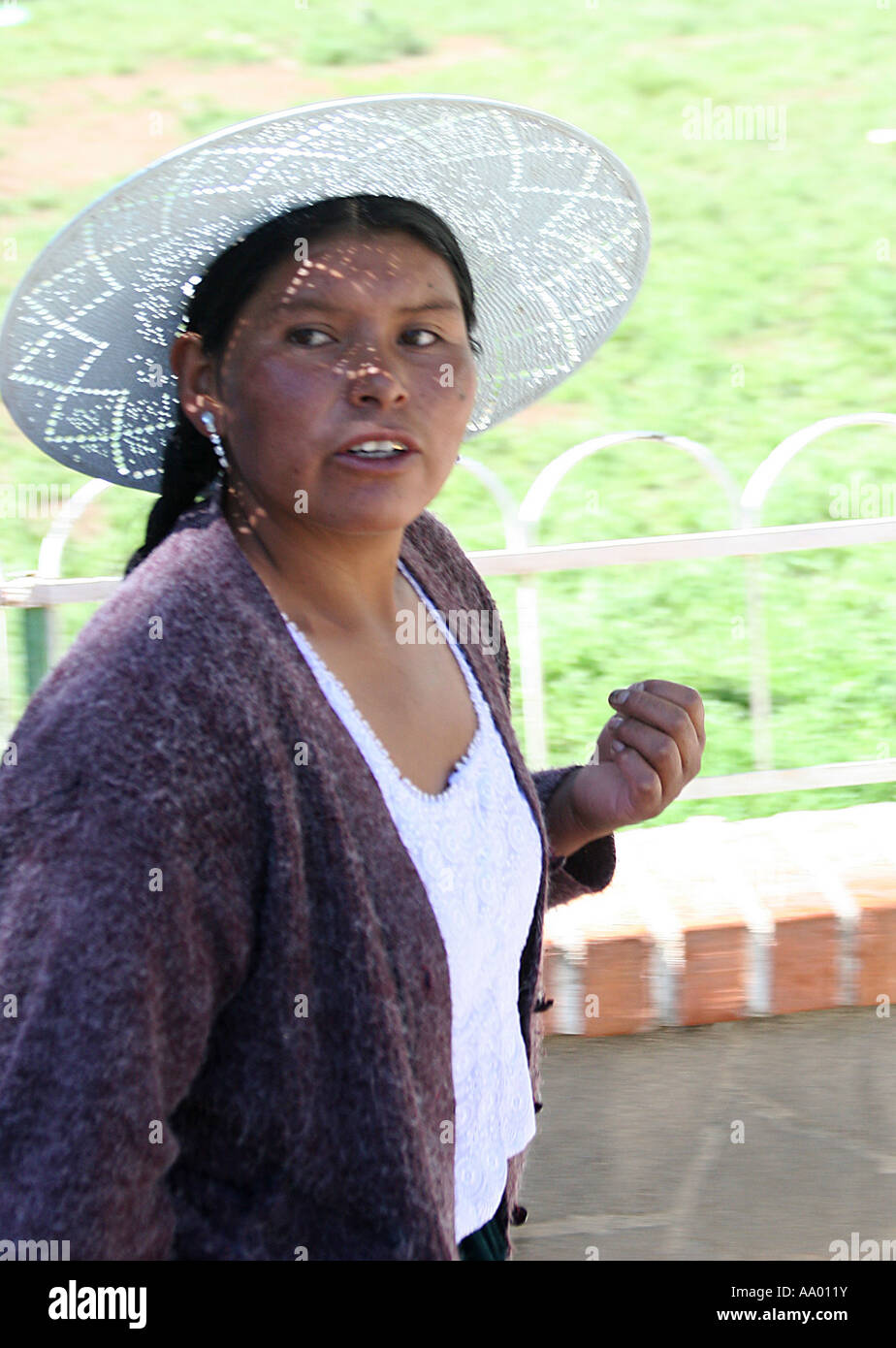 Una mujer boliviana tradicional con sombrero en Llallagua, Potosí, Bolivia  Fotografía de stock - Alamy