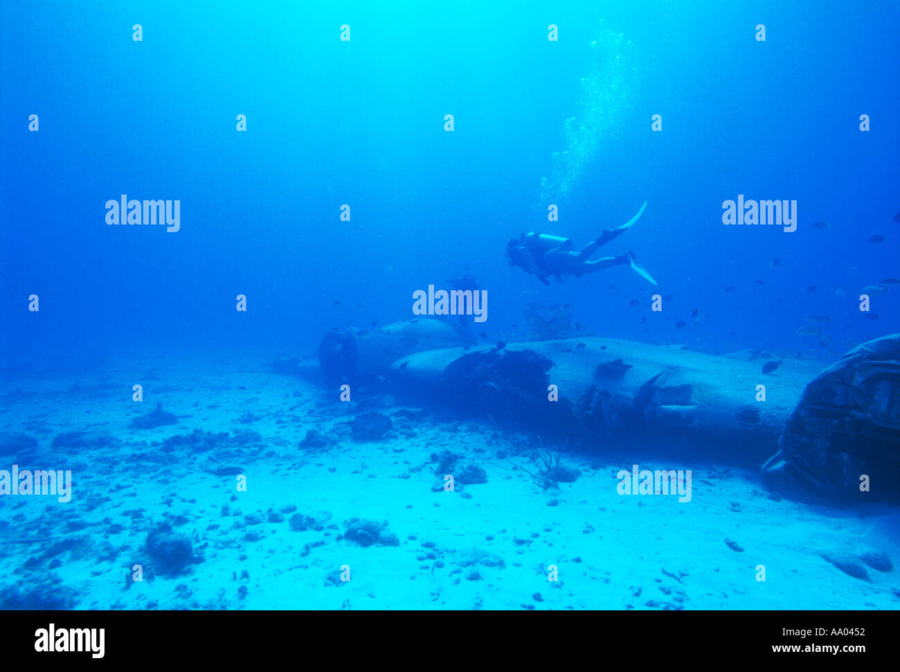 Buzo nadando en avión hundido en el suelo marino de la isla de Cozumel  Quintana Roo México modelo imagen suelta Fotografía de stock - Alamy