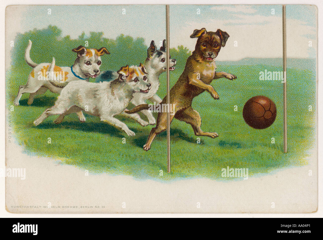 Perros jugando al fútbol Fotografía de stock - Alamy