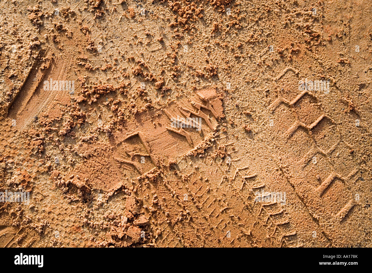 Footprint y pistas de arena Foto de stock