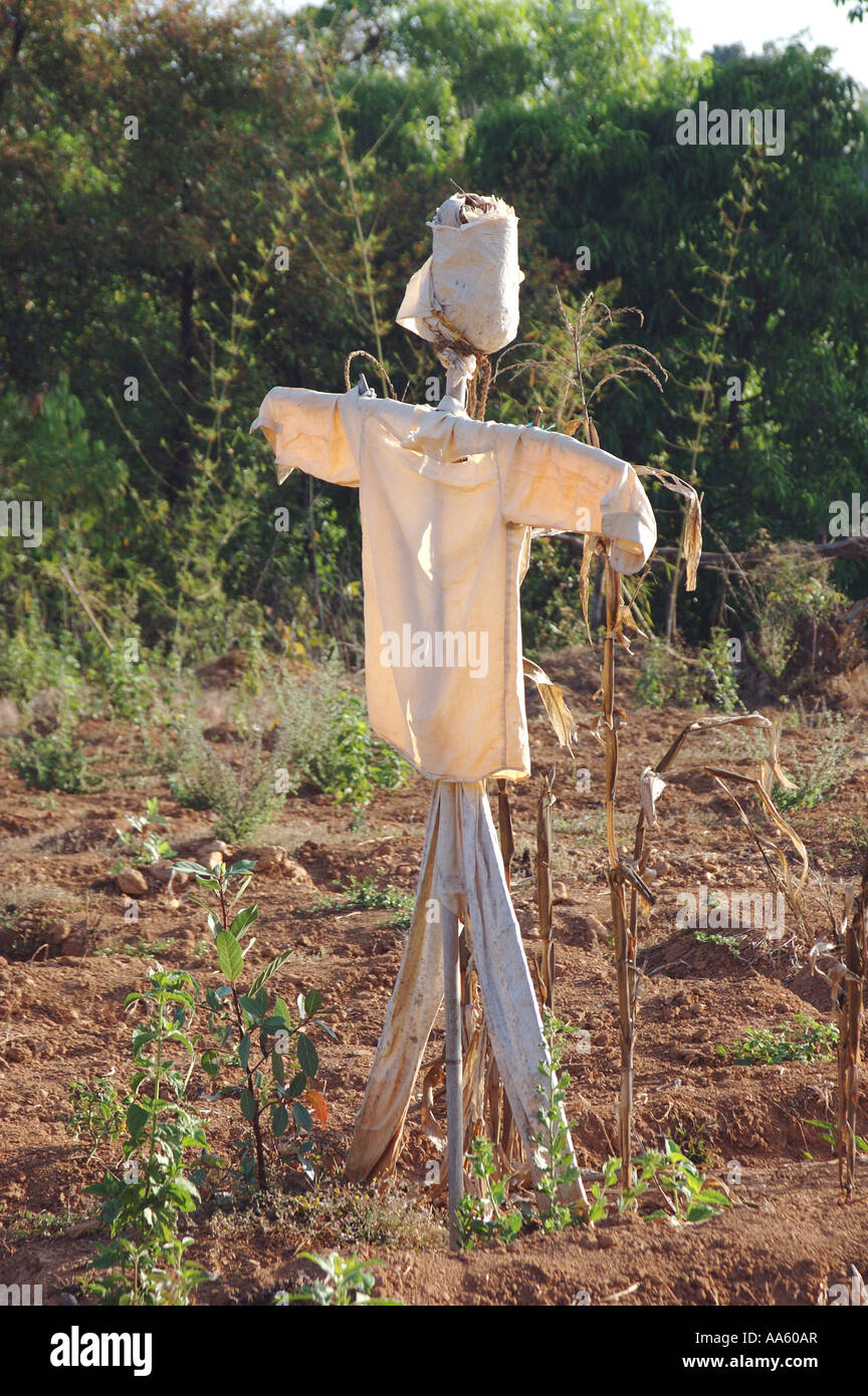 Maniquí de señuelo de escarecrow Foto de stock