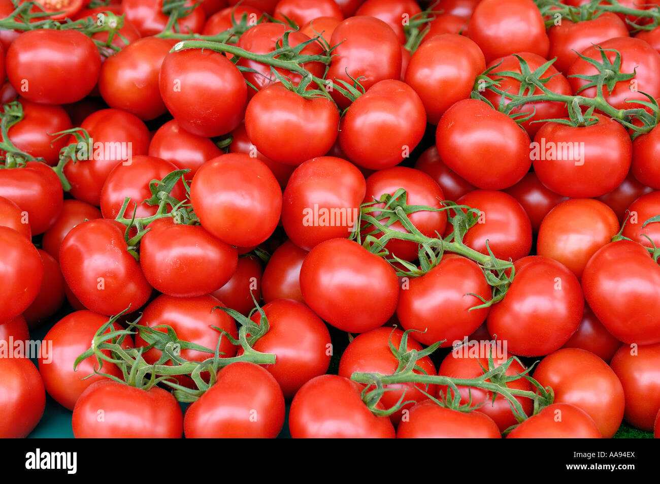Apilar los tomates en la vid en un puesto en el mercado. Foto de stock