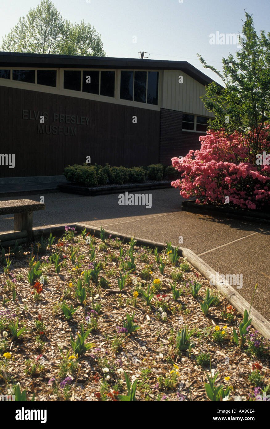 Elvis presley tupelo mississippi fotografías e imágenes de alta resolución Alamy