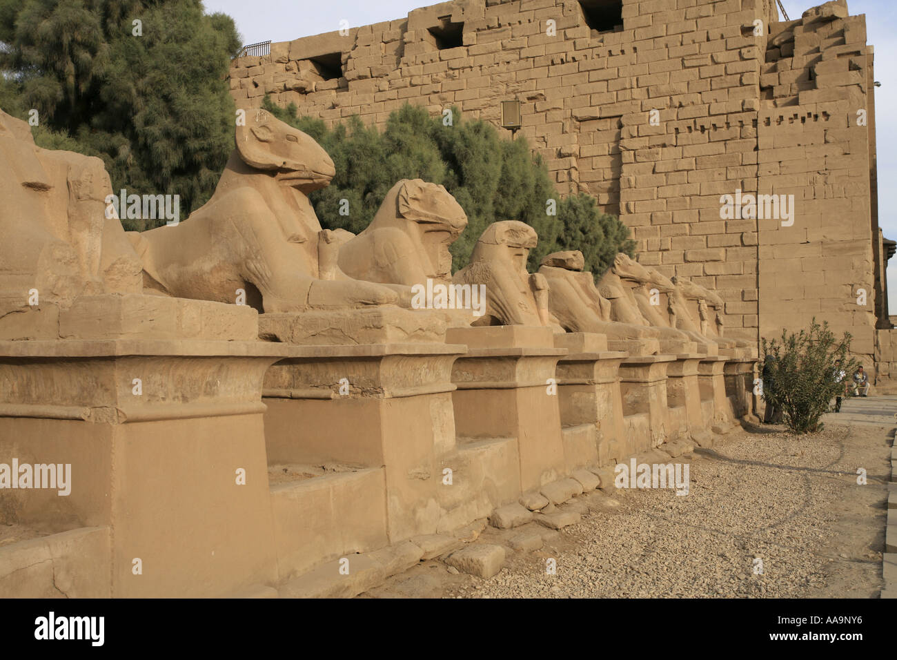 Esfinges en el Templo de Luxor, Luxor, el río Nilo, Egipto. Foto de stock
