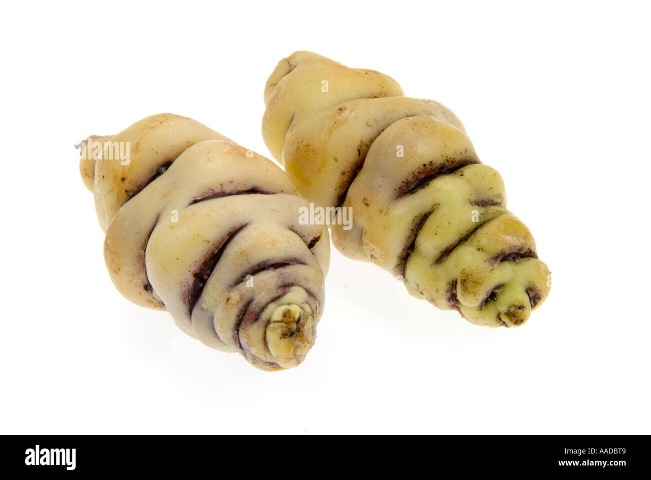 Cubio como un cuerpo protuberante curvatura maschua alimentos cultivo curioso culturev cultivar crecer cultivador de color de corte fuera objeto Foto de stock