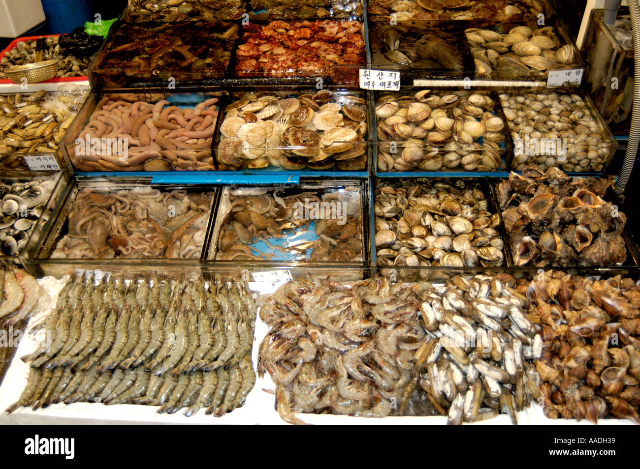 Mercado de Mariscos Pescado Noryangjin Seúl Corea Foto de stock