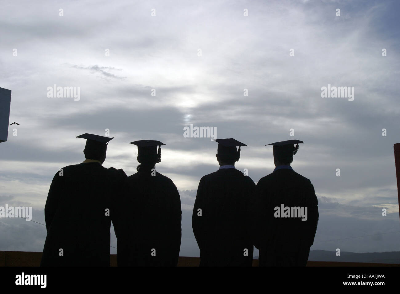 Cuatro estudiantes graduados jóvenes amigos hombres vestidos vestido de graduación al atardecer Silueta trasera vista posterior Foto de stock