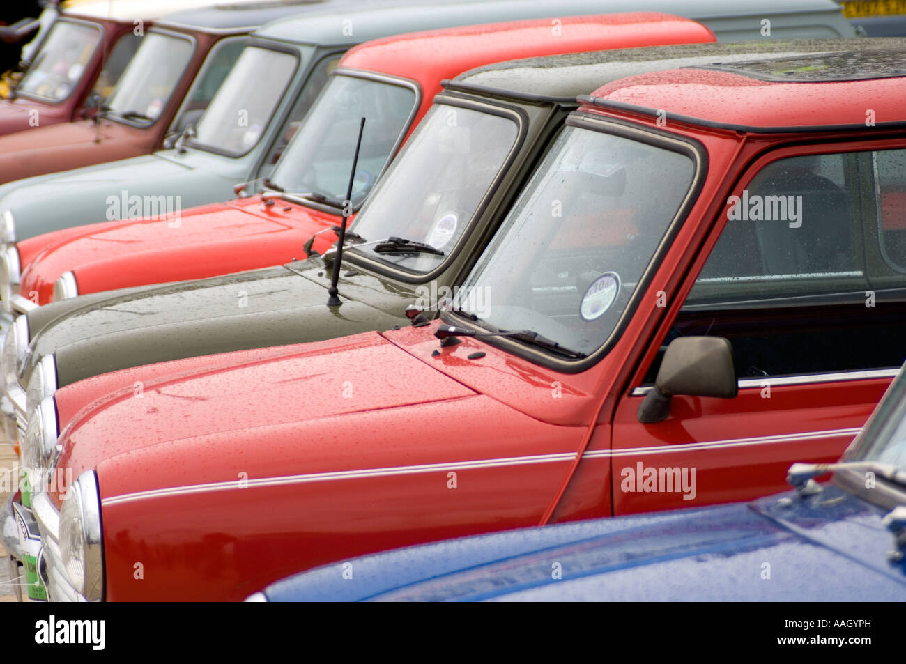 Fila de estilo clásico inglés británico coches Mini Cooper a propietarios  mostrar reunión Aberystwyth UK Fotografía de stock - Alamy
