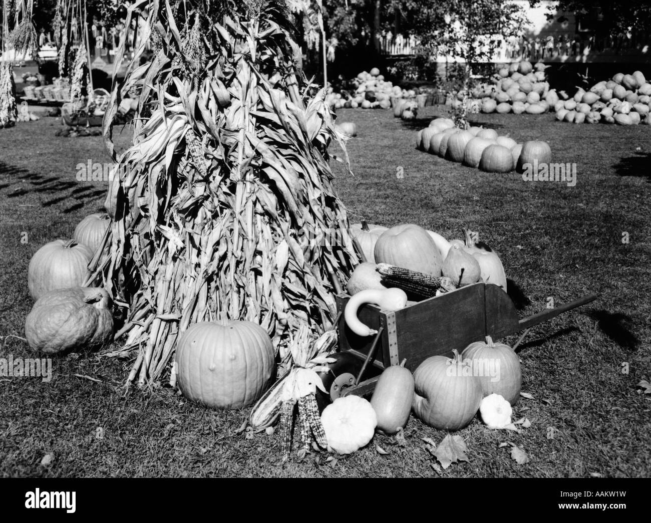 Cosecha de Otoño todavía la vida los tallos de maíz secos rodeado de calabazas y calabazas de otoño MERCADO AGRÍCOLA EN SEGUNDO PLANO. Foto de stock