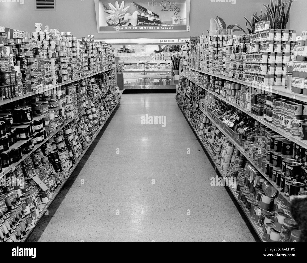 1950 SUPERMERCADO Pasillo con productos enlatados en estantes a ambos