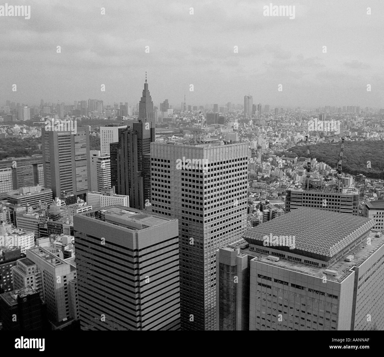 Vista en blanco y negro de Tokyo desde la Torre de Tokio Tokio, Japón Foto de stock