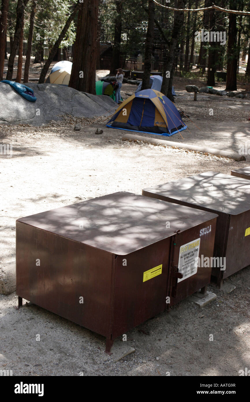 Oso oso cajas resistentes contenedores de comida para los campistas camping  en el Parque Nacional de Yosemite California EE.UU Fotografía de stock -  Alamy
