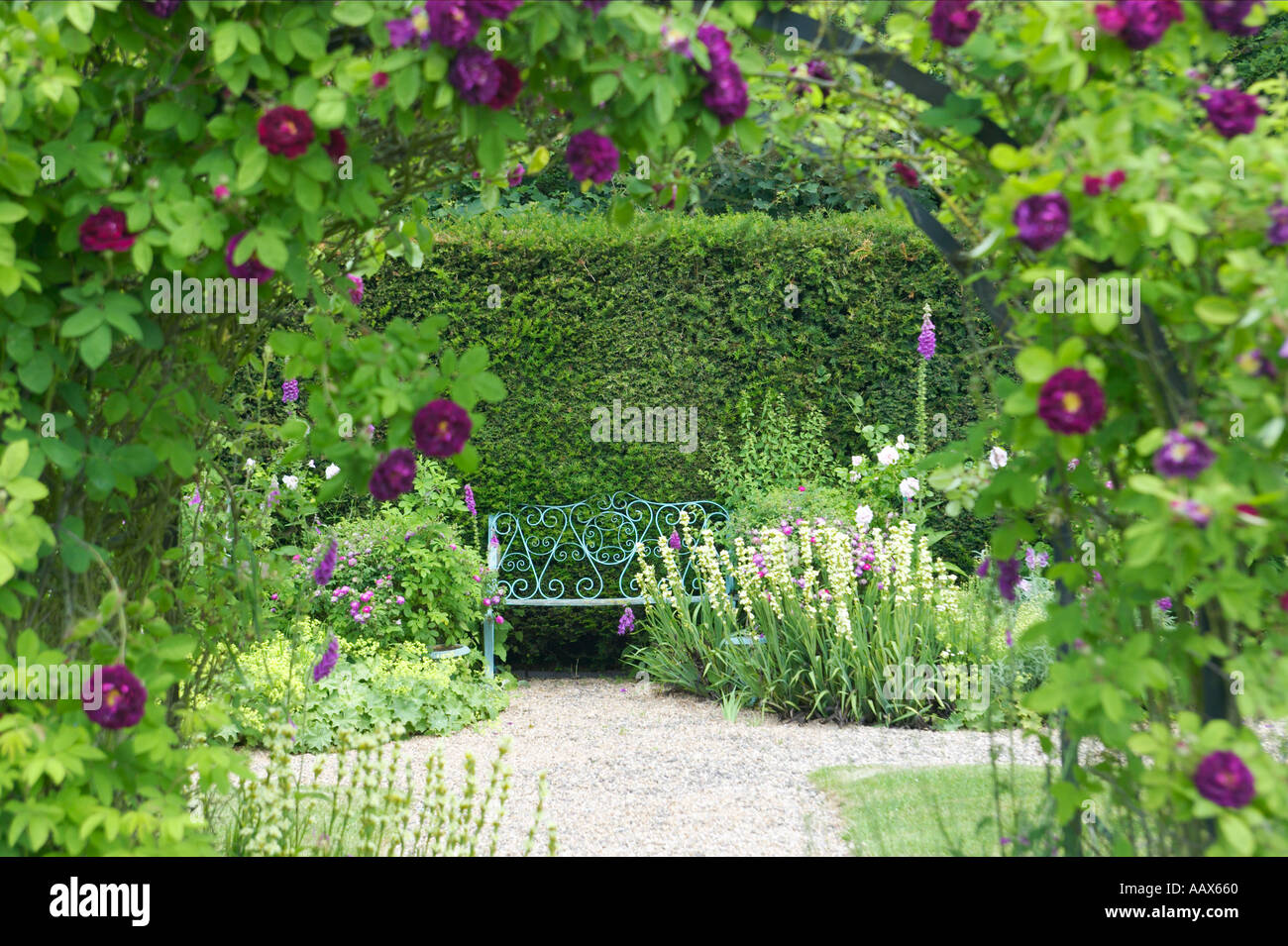 English Rose Garden con arco y aislado en el asiento Foto de stock