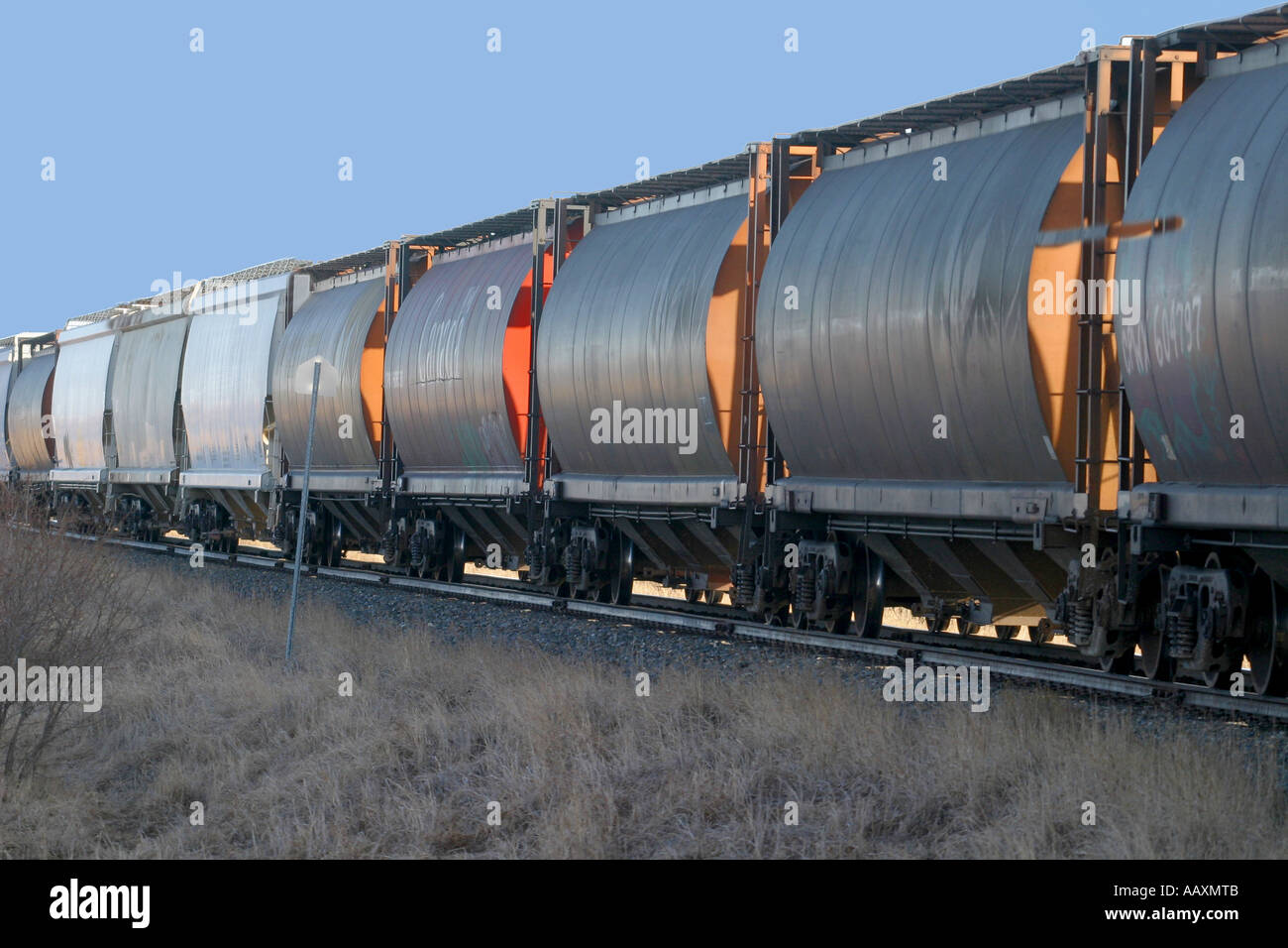 Trenes que transportaban los granos hasta los puntos de embarque Foto de stock